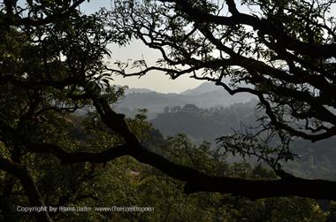 05 Mount_Abu_DSC4080_b_H600